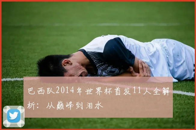 巴西队2014年世界杯首发11人全解析：从巅峰到泪水